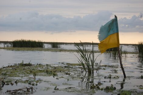 Сеул пересмотрит политику по поставке оружия Украине