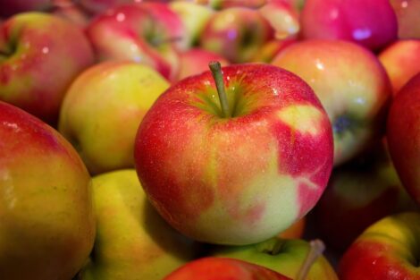 Россияне в два с половиной раза увеличили сбор яблок и груш