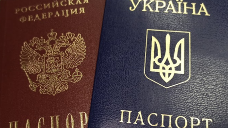 Госдума упростила до пары кликов отказ от украинского гражданства