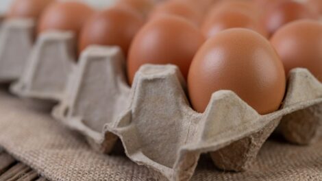 Поставки куриных яиц из Белоруссии в Россию выросли почти вдвое