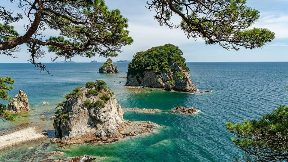 Этот день в истории: 17 января