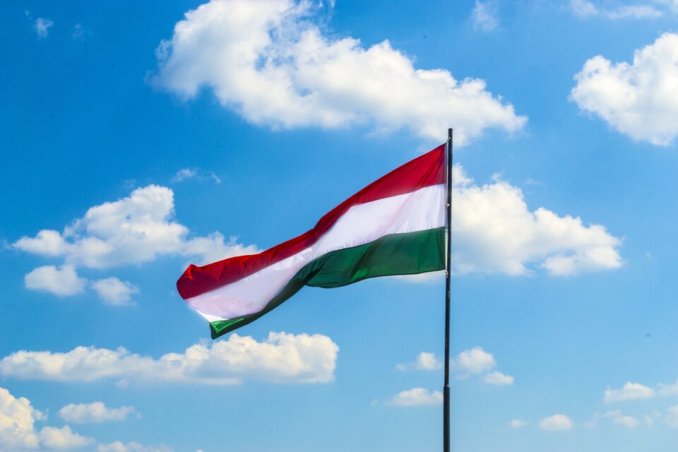 Новый глава Венгрии сделал заявление по украинскому конфликту
