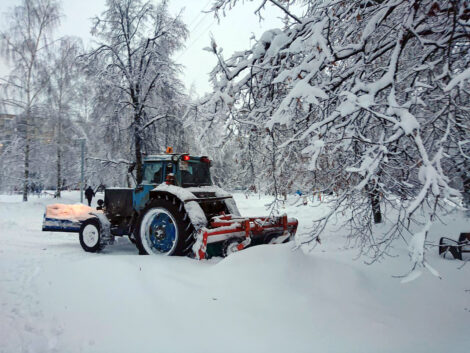 Москвичам назвали сроки таяния снега в столице