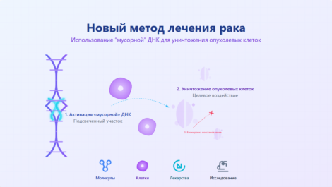 Учёные нашли способ использовать «мусорную» ДНК для уничтожения раковых клеток