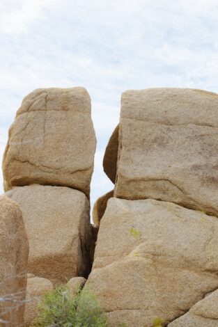 Стражи тундры — Маньпупунёр